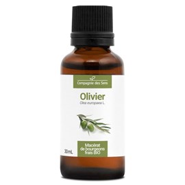 Olivier - macérat de bourgeons bio 30ml