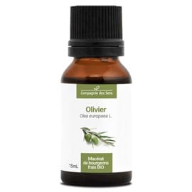 Olivier - macérat de bourgeons bio 15ml