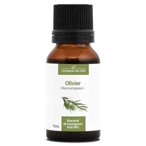 Olivier - macérat de bourgeons bio 15ml 15