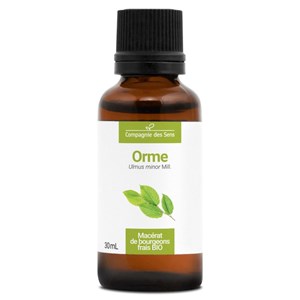 Orme bio - 30ml (ulmus campestris) – macérat concentré de bourgeons frais 30