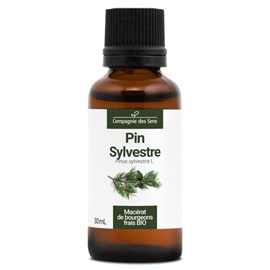 Pin sylvestre macérat bourgeons bio 30ml