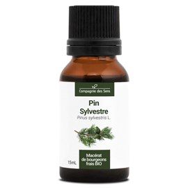 Pin sylvestre bio - 15ml (pinus sylvestris) – macérat concentré de bourgeons fra