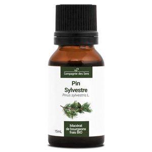 Pin sylvestre bio - 15ml (pinus sylvestris) – macérat concentré de bourgeons fra 15