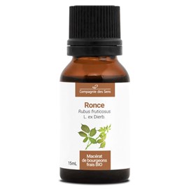 Ronce bio - 15ml (rubus fruticosus) – macérat concentré de bourgeons frais