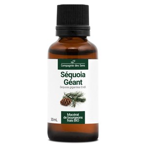 Séquoia géant bio - 30ml (sequoia giganteum) – macérat concentré de bourgeons fr 30