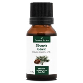Séquoia géant macérat bourgeons bio 15ml