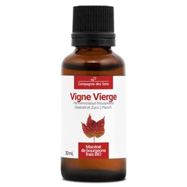 Vigne vierge bio - 30ml (parthenocissus tricuspidata) – macérat concentré de bou