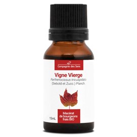 Vigne vierge macérat bourgeons bio 15ml
