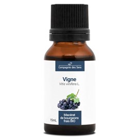 Vigne - macérat de bourgeons bio 15ml