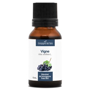 Vigne - macérat de bourgeons bio 15ml 15