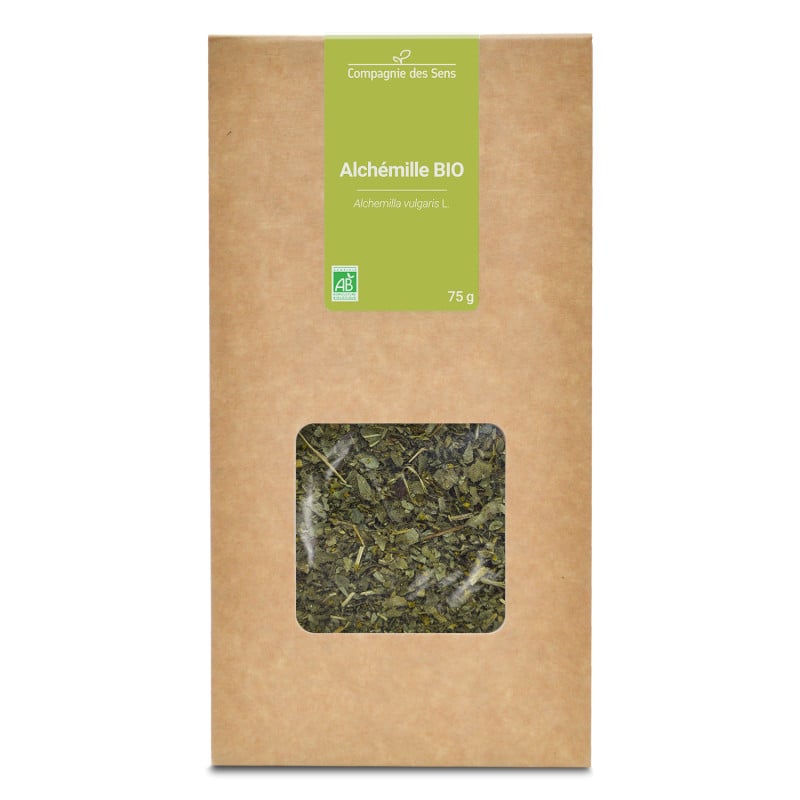 TISANE BIO ALCHÉMILLE (Alchemilla vulgaris)