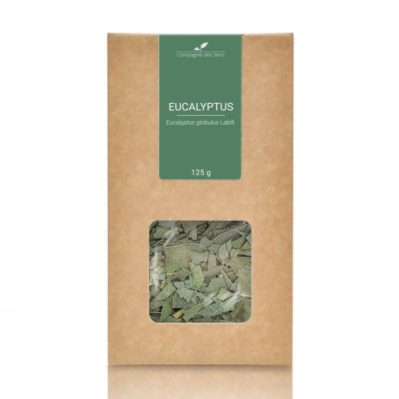 Eucalyptus - 125gr - plante en vrac bio