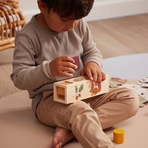 Jouet trieur de formes en bois