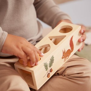 Jouet trieur de formes en bois