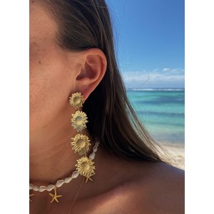 Boucles d'oreilles aria