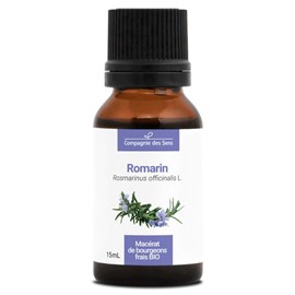 Romarin - macérat de bourgeons bio 15ml