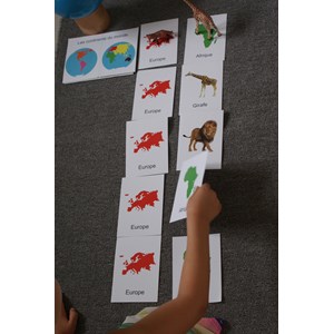 Mamontessoribox animaux du monde