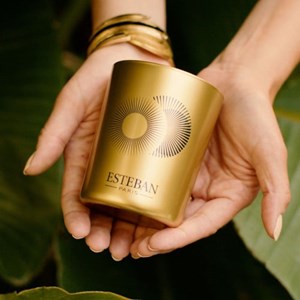 Bouquet parfumé déco rêve blanc