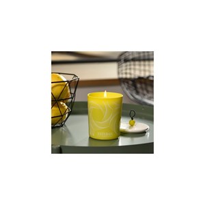Bougie déco parfumée - terre d'agrumes