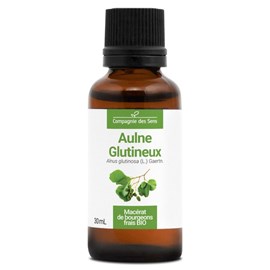 Aulne glutineux bio - 30ml (alnus glutinosa) – macérat concentré de bourgeons fr