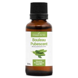 Bouleau pubescent bio - 30ml (betula pubescens) – macérat concentré de bourgeons