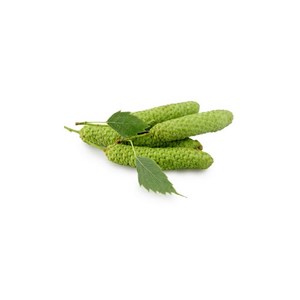 Bouleau pubescent bio - 30ml 30