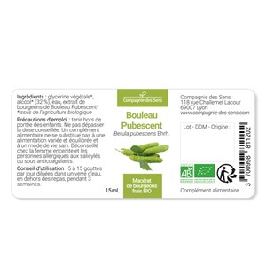 Bouleau pubescent bio - 30ml (betula pubescens) – macérat concentré de bourgeons 30