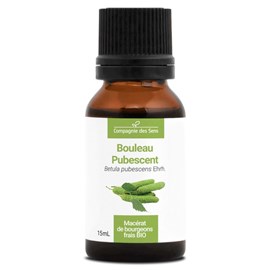 Bouleau pubescent bio - 15ml (betula pubescens) – macérat concentré de bourgeons