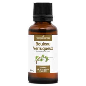 Bouleau verruqueux bio - 30ml (betula pendula) – macérat concentré de bourgeons 30