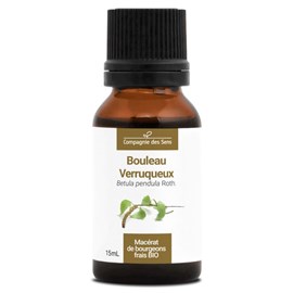 Bouleau verruqueux bio - 15ml (betula pendula) – macérat concentré de bourgeons