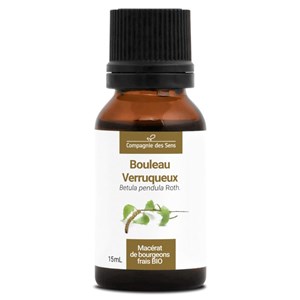 Bouleau verruqueux bio - 15ml (betula pendula) – macérat concentré de bourgeons 15