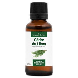 Cèdre du liban bio - 30ml (cedrus libani) – macérat concentré de bourgeons frais