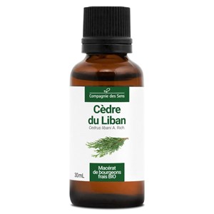 Cèdre du liban bio - 30ml (cedrus libani) – macérat concentré de bourgeons frais 30
