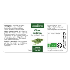 Cèdre du liban bio - 30ml (cedrus libani) – macérat concentré de bourgeons frais 30