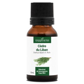 Cèdre du liban bio - 15ml (cedrus libani) – macérat concentré de bourgeons frais