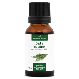 Cèdre du liban bio - 15ml (cedrus libani) – macérat concentré de bourgeons frais 15
