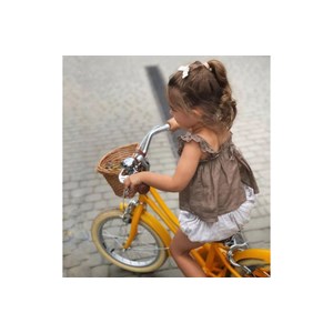 Vélo enfant gingersnap 12 pouces 2-4 ans
