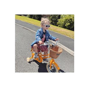 Vélo enfant gingersnap 12 pouces 2-4 ans