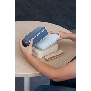 Pain de glace pour lunch box monbento