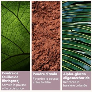 Poudre cheveux densifiante