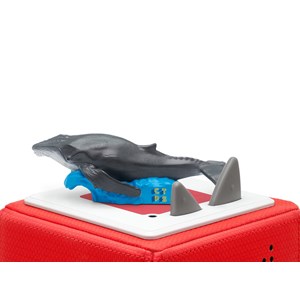 Tonies plongée dans les océans