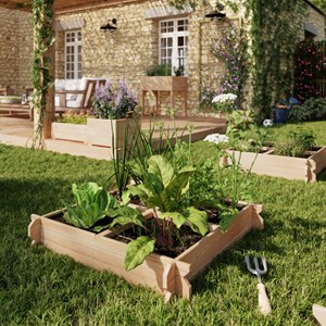 Carré potager en bois mélèze freya