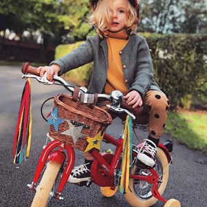 Vélo rouge 12 pouces bobbin moonbug