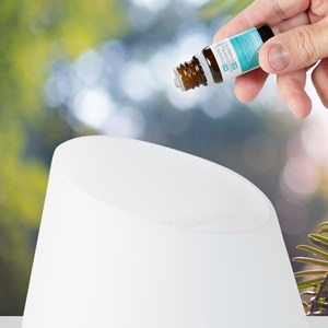 Diffuseur d'huiles essentielles - borneo