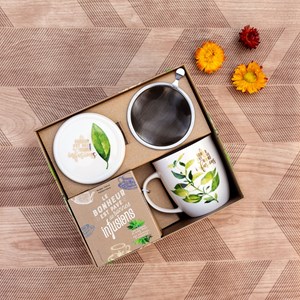 Box tasse  infuseur recettes tisanes