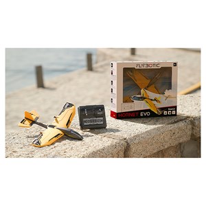 Avion hornet evo telecommande