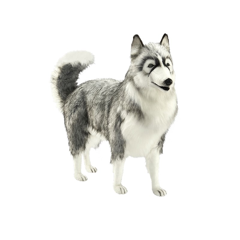 Hansa peluche geante husky 70cmh 90cml