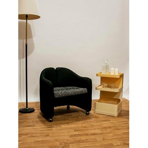 Jakob, le fauteuil eugenio gerli n°460