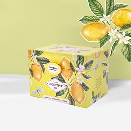 Tisane digestive bio*