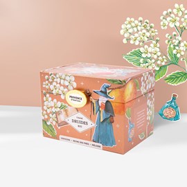 Tisane des druides bio*